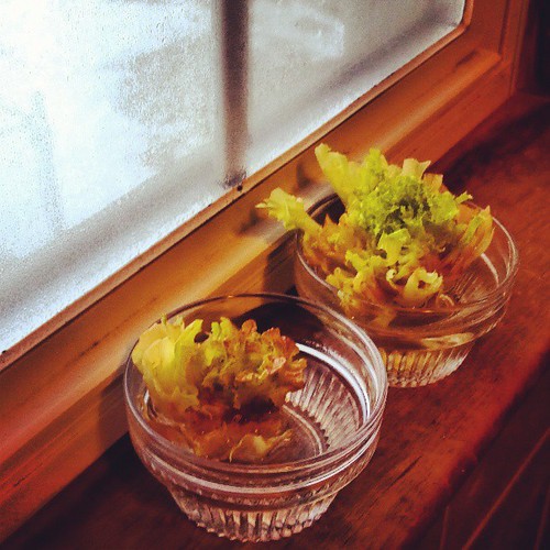 What, you don't grow lettuce in your bathroom?