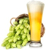 hops-and-beer