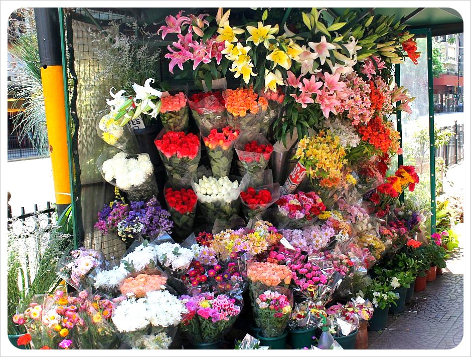flower vendor in buenos aires