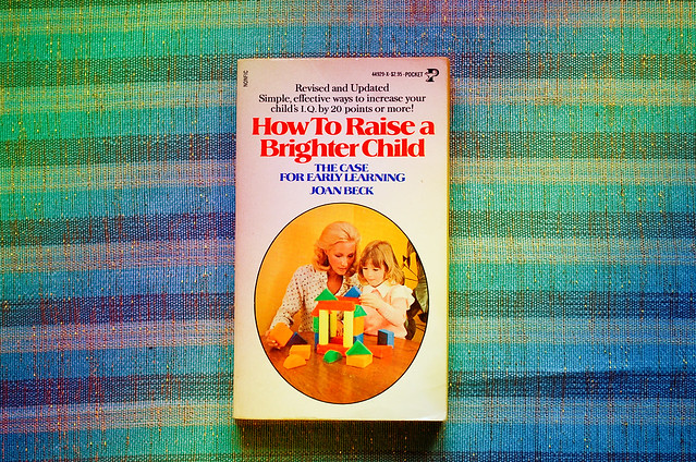 How To Raise A Brighter Child 29php
