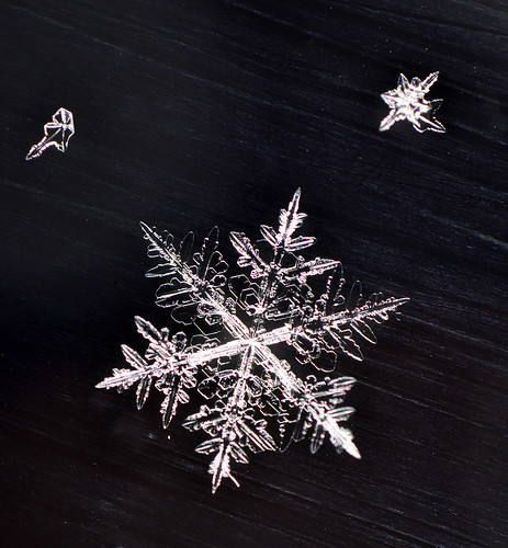 snow_crystals_2