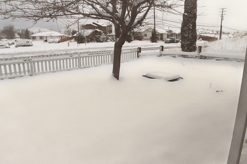 front-yard-snow-tehachapi