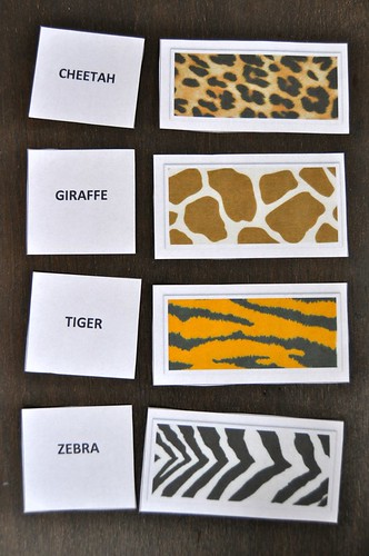 Zoo Animal Texture Cards