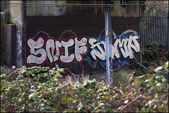 Graffiti - TGS