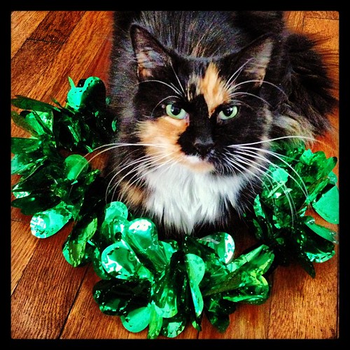 Happy St. Patrick's Day from Grisabella Rossellini!