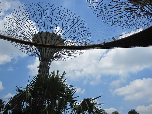 Gardens by the Bay - Singapore by fernanda garrido