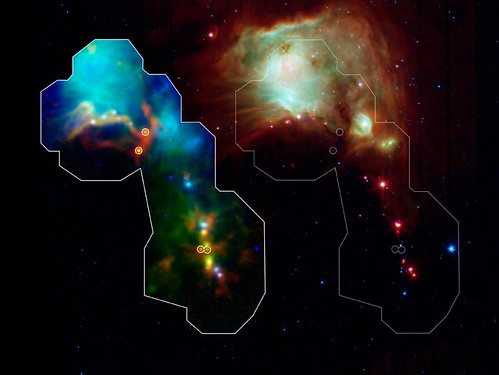 Infant Stars Peek Out from Dusty Cradles