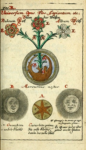 029-Joh. Michaelis Faustij ... Compendium alchymist….1706-Johann Michael Faust