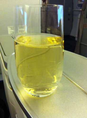 33/365: First Champagne on the Last Flight by doglington