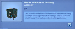 Nature and Nurture Learning Academy