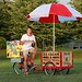Icicle Tricycle Tin Pot Ice Cream Bike