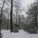 Schnee in Leipzig 131
