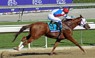 Groupie Doll winning the Breeders Cup Filly & Mare Sprint
