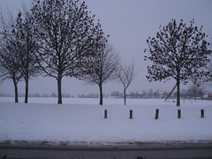 Jan 2013 snow