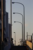 歩道の街灯