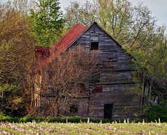 Barns, Old Buildings