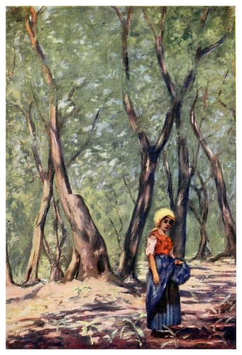 009-Olivos cerca de Massa-Naples -1904- Augustine Fitzgeral