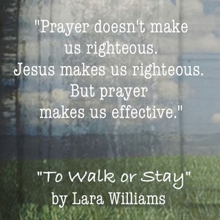 Prayer quote from To Walk or Stay