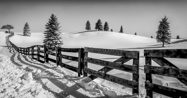 Winter @ Escarpment Road Caledon, Ontario
