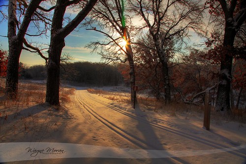 Golden Winter Morning by !!WaynePhotoGuy