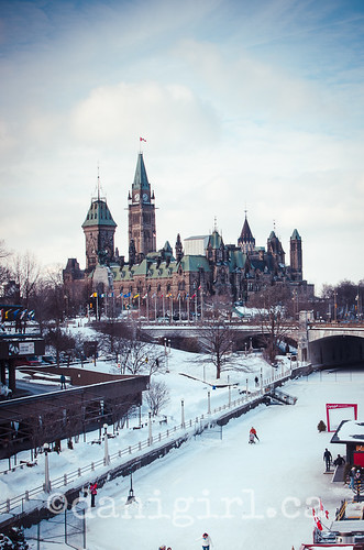 Parliament on ice