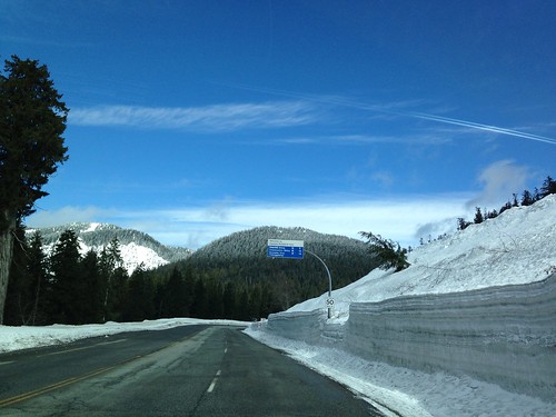 Driving up to Hollyburn Mountain