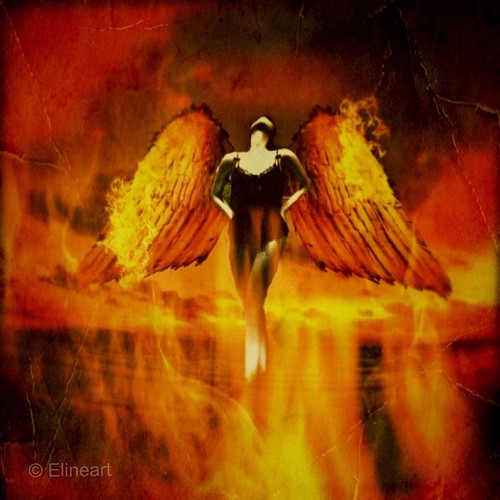 93:365 Phoenix Rises by elineart