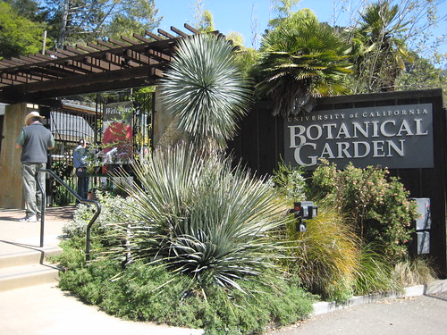 UC Berkeley Botanical Garden Sign