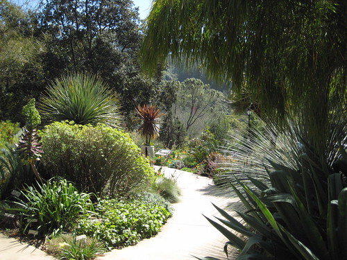 Path to Succulent Garden