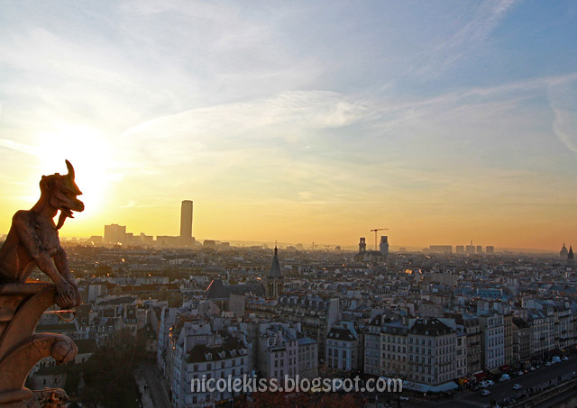 notre dame view of Paris City