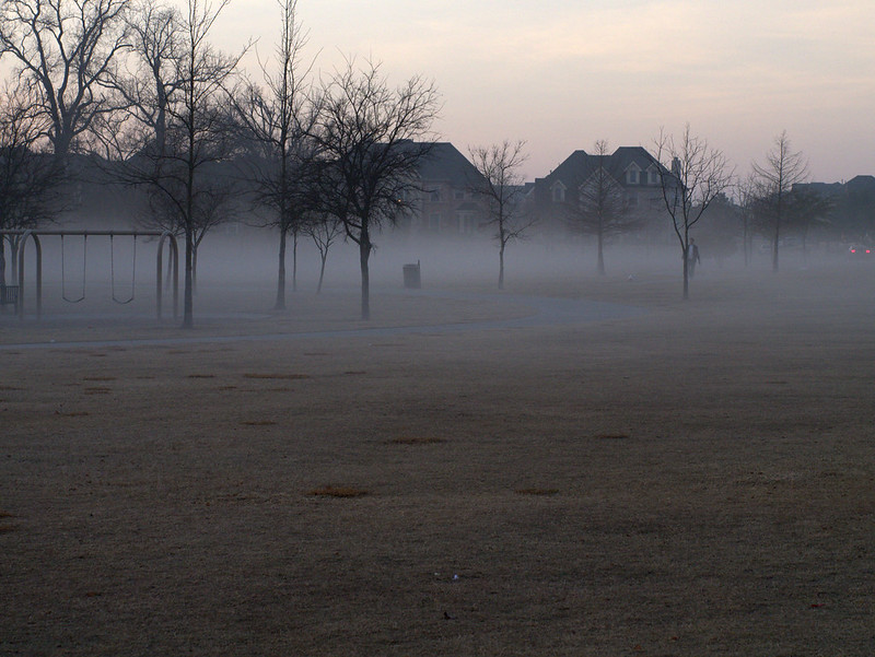 _1220345 fog in morning