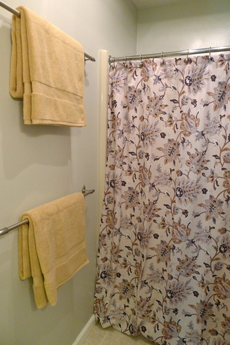 Shower Curtain and Towels
