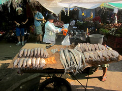 Fish in the Market