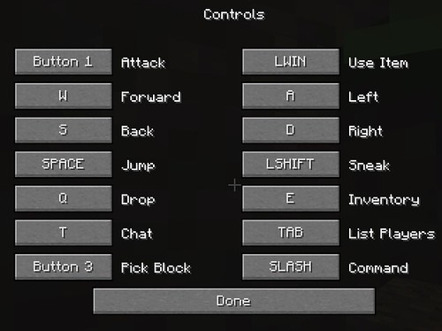 Minecraft Controls