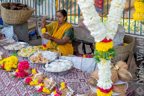 The Streets of Pune 2013 - Flower Seller