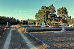 butler cemetery  taylor county georgia