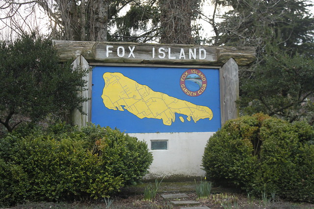 fox island 010