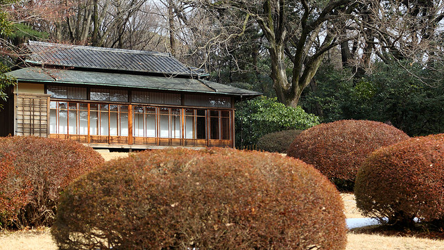 24/365 Meiji Jingu Garden