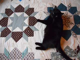 Swoon, hand quilting in progress