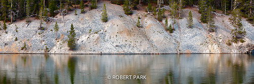 "Reflections on The Yellowstone" Yellowston e National  Park, WY By Robert Park  http://www.robert-park.com by Robert Park Photography