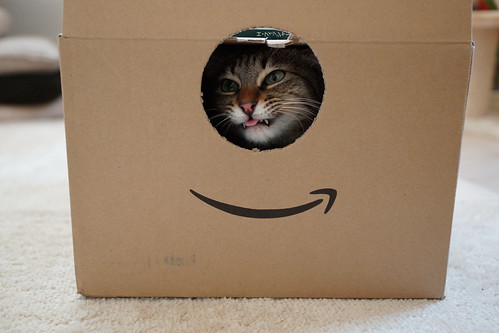 Amazon cat displeasure