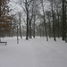 Schnee in Leipzig 138