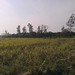 Beautiful Rural India