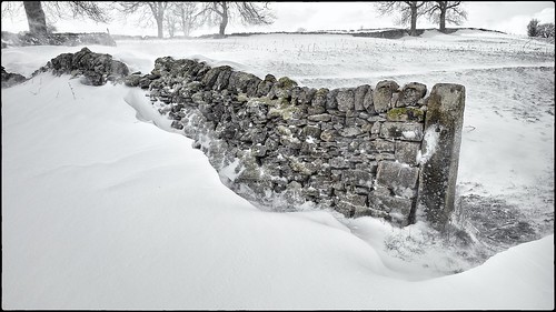 Moss and Wall and Snowdrift by geospace