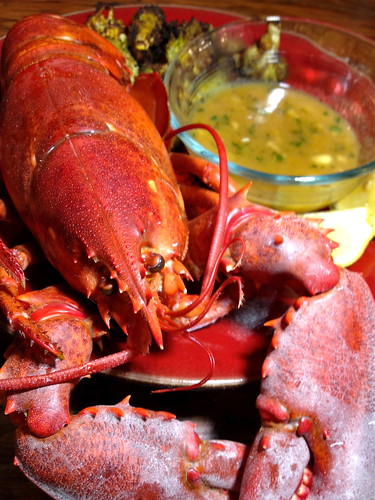 New Year's Lobster w White Wine Butter Sauce