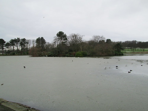 Beveridge Park pond in January.
