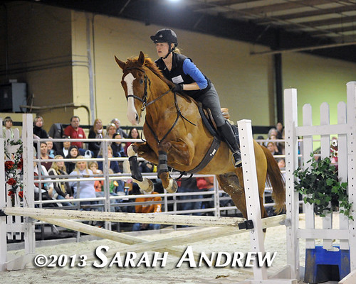 Alluring Punch and Valerie Shepard at the Maryland Horse World Expo
