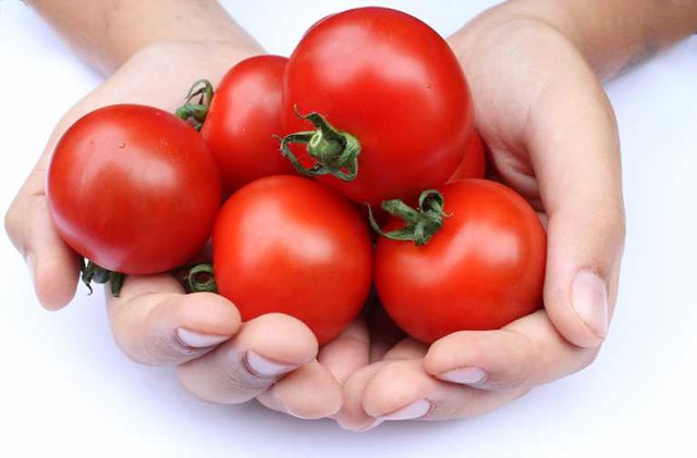 tomates-diarioecologia