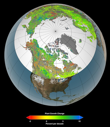 Riscaldamento globale ed effetto serra: aumento della vegetazione nelle zone artiche