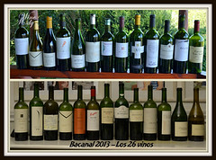 Bacanal 2013 – Vinos de Alta Gama – los 26 vinos